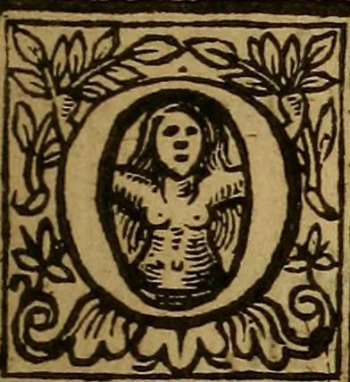 An illustration from Theatrum chemicum britannicum : containing severall poeticall pieces of our famous English philosophers, who have written the hermetique mysteries in their owne ancient language, 1652, leaf 144