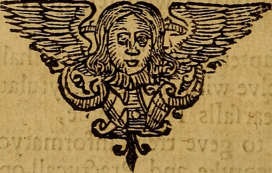 An illustration from Theatrum chemicum britannicum : containing severall poeticall pieces of our famous English philosophers, who have written the hermetique mysteries in their owne ancient language, 1652, leaf 151