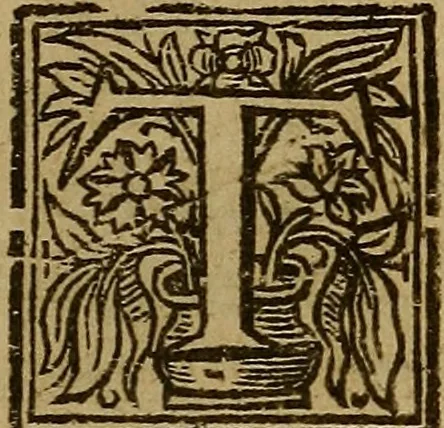 An illustration from Theatrum chemicum britannicum : containing severall poeticall pieces of our famous English philosophers, who have written the hermetique mysteries in their owne ancient language, 1652, leaf 292