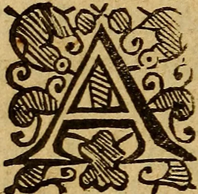 An illustration from Theatrum chemicum britannicum : containing severall poeticall pieces of our famous English philosophers, who have written the hermetique mysteries in their owne ancient language, 1652, leaf 301