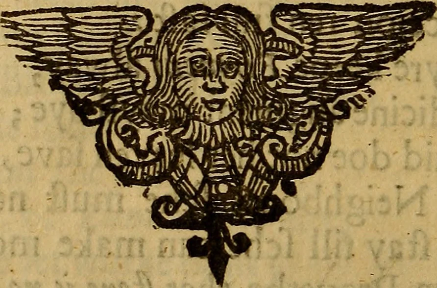 An illustration from Theatrum chemicum britannicum : containing severall poeticall pieces of our famous English philosophers, who have written the hermetique mysteries in their owne ancient language, 1652, leaf 309