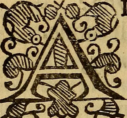 An illustration from Theatrum chemicum britannicum : containing severall poeticall pieces of our famous English philosophers, who have written the hermetique mysteries in their owne ancient language, 1652, leaf 347
