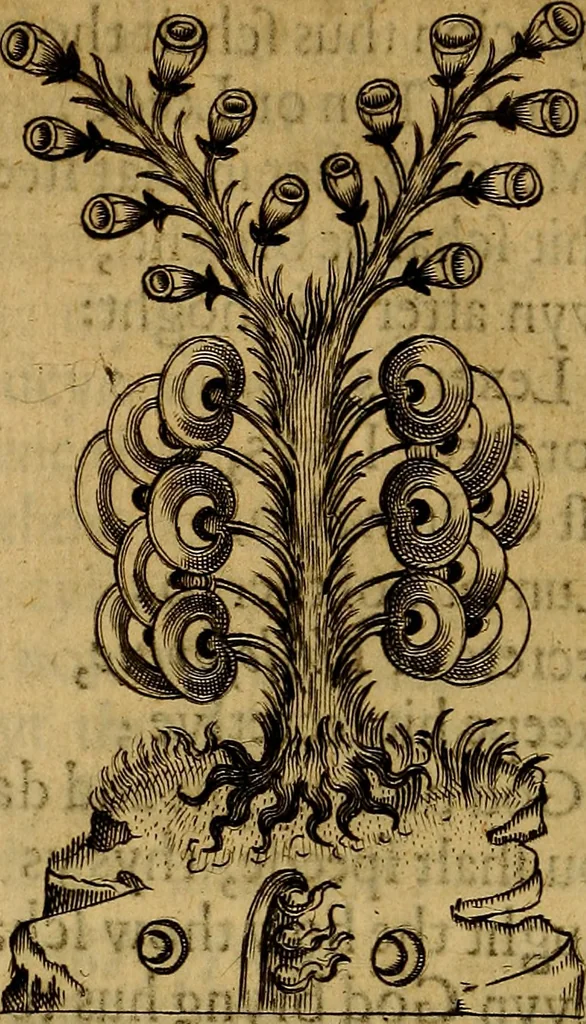 An illustration from Theatrum chemicum britannicum : containing severall poeticall pieces of our famous English philosophers, who have written the hermetique mysteries in their owne ancient language, 1652, leaf 371