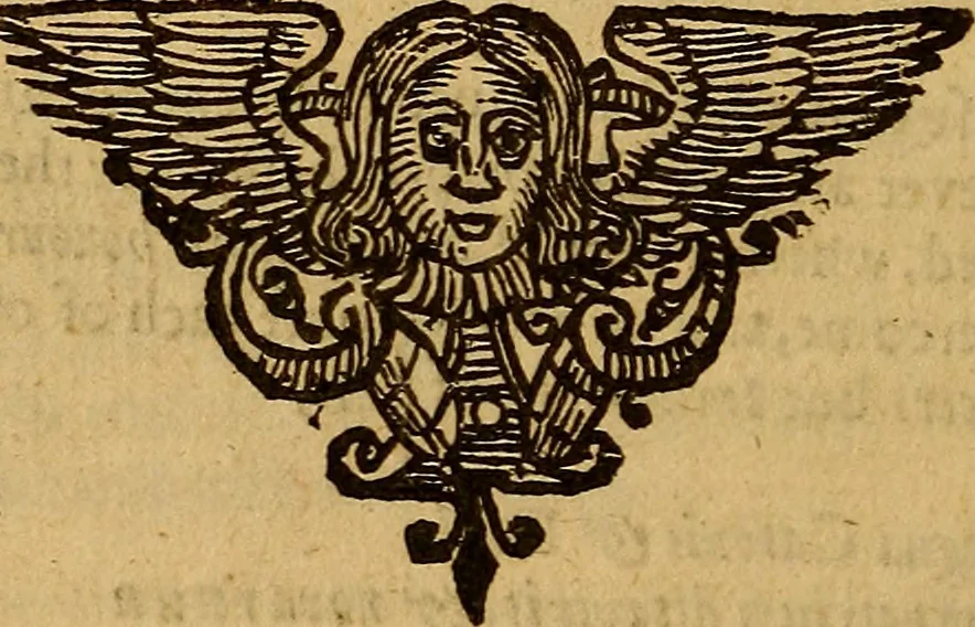 An illustration from Theatrum chemicum britannicum : containing severall poeticall pieces of our famous English philosophers, who have written the hermetique mysteries in their owne ancient language, 1652, leaf 509