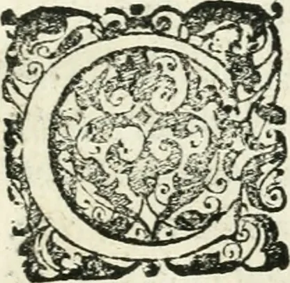 An illustration from Theatrum D.N. Iesu Christi : atrociorum cruciatuum c. lectori spectatori propositum, 1658, leaf 10