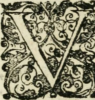 An illustration from Theatrum D.N. Iesu Christi : atrociorum cruciatuum c. lectori spectatori propositum, 1658, leaf 56