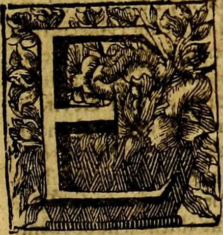 An illustration from Theatrum ethnico idololatrieum politico historicum, ethnicorum idololatrias, simulacra, templa, sacrificia & deos, illorum origines, ritus & caeremonias, quae in perficiendis sacris, fuerunt observata, quidque illis indicare voluerint, representans, 1699, leaf 10