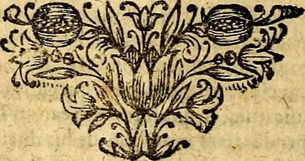 An illustration from Theatrum ethnico idololatrieum politico historicum, ethnicorum idololatrias, simulacra, templa, sacrificia & deos, illorum origines, ritus & caeremonias, quae in perficiendis sacris, fuerunt observata, quidque illis indicare voluerint, representans, 1699, leaf 237