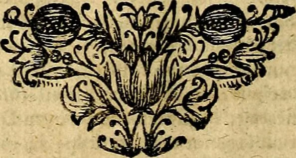 An illustration from Theatrum ethnico idololatrieum politico historicum, ethnicorum idololatrias, simulacra, templa, sacrificia & deos, illorum origines, ritus & caeremonias, quae in perficiendis sacris, fuerunt observata, quidque illis indicare voluerint, representans, 1699, leaf 235