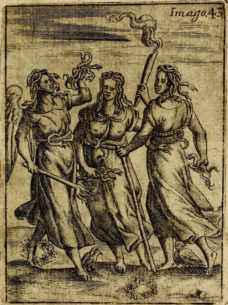 An illustration from Theatrum ethnico idololatrieum politico historicum, ethnicorum idololatrias, simulacra, templa, sacrificia & deos, illorum origines, ritus & caeremonias, quae in perficiendis sacris, fuerunt observata, quidque illis indicare voluerint, representans, 1699, leaf 294