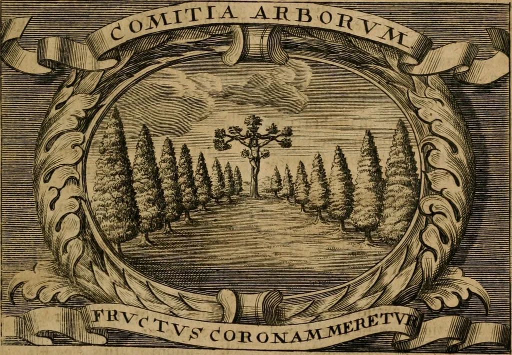 An illustration from Theatrum gloriae sanctorum, 1696, leaf 128