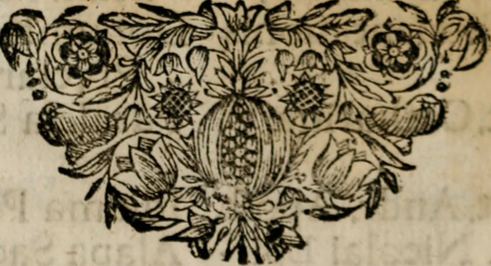 An illustration from Theatrum gloriae sanctorum, 1696, leaf 23