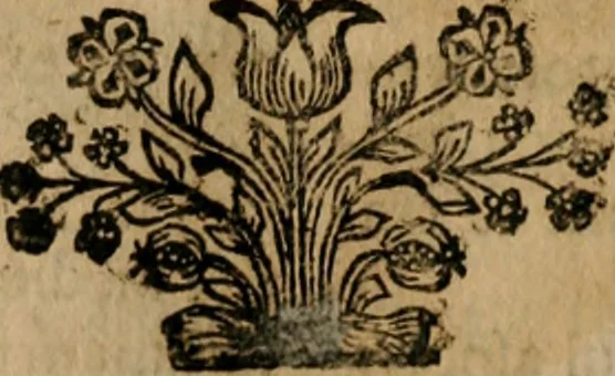 An illustration from Theatrum gloriae sanctorum, 1696, leaf 272