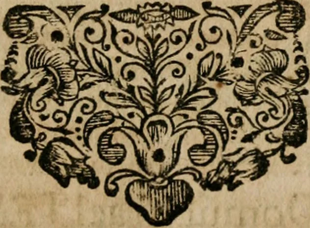 An illustration from Theatrum gloriae sanctorum, 1696, leaf 494