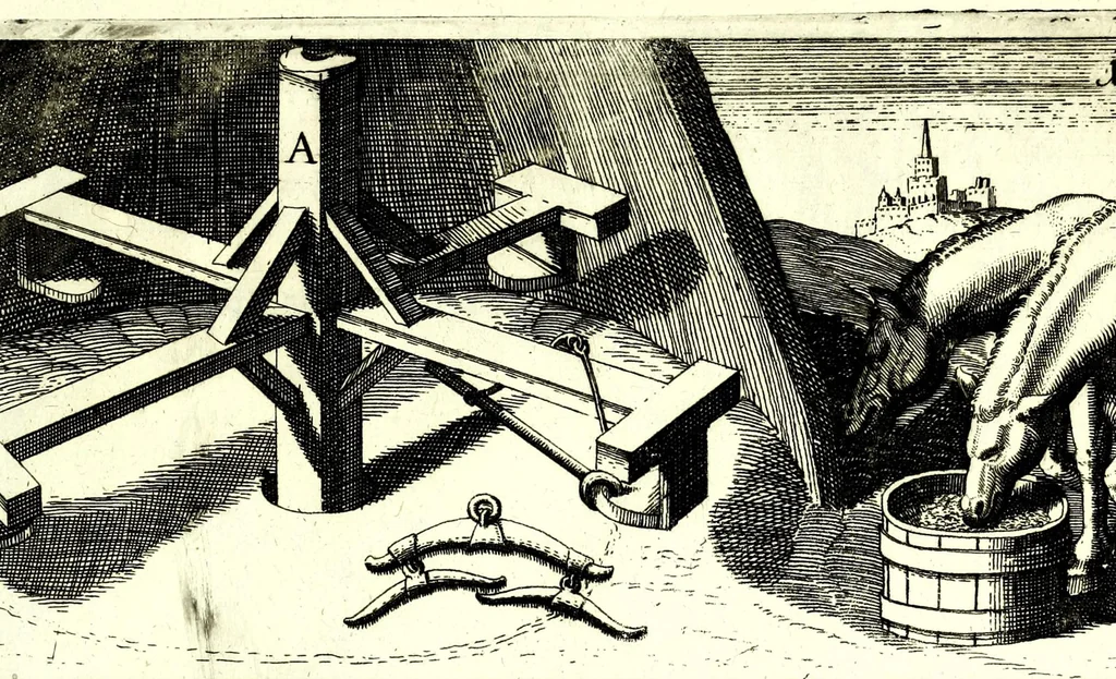 An illustration from Theatrum machinarum novum, das ist, Neu-vermehrter Schauplatz der mechanischen Künsten : handelt von allerhand Wasser- Wind- Ross- Gewicht- und Hand-Mühlen ... ; beneben nützlichen Wasser-Künsten ..., 1673, leaf 289