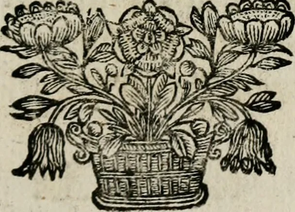 An illustration from Theatrum mortis humanæ tripartitum. I. Pars. Saltum mortis. II. Pars. Varia genera mortis. III. Pars. Pnas damnatorum continens. Figuris æneis illustratum, das ist, Schau-Bühne desz menschlichen Todts in drey Theil. 1. Theil. Der Toden Tantz. 2. Theil. Underschidliche Todts-Gattungen. 3. Theil. Der Verdambten Höllen-Peyn, vorstellend. Mit Schönen Kupffer-Stichen geziehrt vnd an Tag gegeben. Durch Joannem Weichardum Valvasor.., 1682, leaf 132