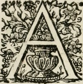 An illustration from Theatrum mortis humanæ tripartitum. I. Pars. Saltum mortis. II. Pars. Varia genera mortis. III. Pars. Pnas damnatorum continens. Figuris æneis illustratum, das ist, Schau-Bühne desz menschlichen Todts in drey Theil. 1. Theil. Der Toden Tantz. 2. Theil. Underschidliche Todts-Gattungen. 3. Theil. Der Verdambten Höllen-Peyn, vorstellend. Mit Schönen Kupffer-Stichen geziehrt vnd an Tag gegeben. Durch Joannem Weichardum Valvasor.., 1682, leaf 133