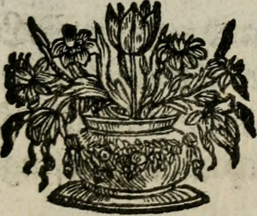 An illustration from Theatrum mortis humanæ tripartitum. I. Pars. Saltum mortis. II. Pars. Varia genera mortis. III. Pars. Pnas damnatorum continens. Figuris æneis illustratum, das ist, Schau-Bühne desz menschlichen Todts in drey Theil. 1. Theil. Der Toden Tantz. 2. Theil. Underschidliche Todts-Gattungen. 3. Theil. Der Verdambten Höllen-Peyn, vorstellend. Mit Schönen Kupffer-Stichen geziehrt vnd an Tag gegeben. Durch Joannem Weichardum Valvasor.., 1682, leaf 204