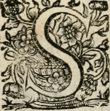 An illustration from Theatrum mortis humanæ tripartitum. I. Pars. Saltum mortis. II. Pars. Varia genera mortis. III. Pars. Pnas damnatorum continens. Figuris æneis illustratum, das ist, Schau-Bühne desz menschlichen Todts in drey Theil. 1. Theil. Der Toden Tantz. 2. Theil. Underschidliche Todts-Gattungen. 3. Theil. Der Verdambten Höllen-Peyn, vorstellend. Mit Schönen Kupffer-Stichen geziehrt vnd an Tag gegeben. Durch Joannem Weichardum Valvasor.., 1682, leaf 205