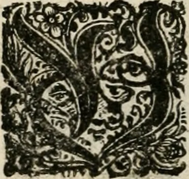 An illustration from Theatrum mortis humanæ tripartitum. I. Pars. Saltum mortis. II. Pars. Varia genera mortis. III. Pars. Pnas damnatorum continens. Figuris æneis illustratum, das ist, Schau-Bühne desz menschlichen Todts in drey Theil. 1. Theil. Der Toden Tantz. 2. Theil. Underschidliche Todts-Gattungen. 3. Theil. Der Verdambten Höllen-Peyn, vorstellend. Mit Schönen Kupffer-Stichen geziehrt vnd an Tag gegeben. Durch Joannem Weichardum Valvasor.., 1682, leaf 205
