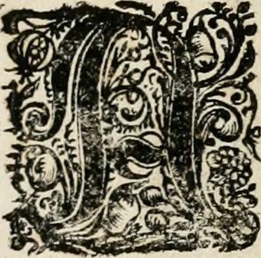 An illustration from Theatrum mortis humanæ tripartitum. I. Pars. Saltum mortis. II. Pars. Varia genera mortis. III. Pars. Pnas damnatorum continens. Figuris æneis illustratum, das ist, Schau-Bühne desz menschlichen Todts in drey Theil. 1. Theil. Der Toden Tantz. 2. Theil. Underschidliche Todts-Gattungen. 3. Theil. Der Verdambten Höllen-Peyn, vorstellend. Mit Schönen Kupffer-Stichen geziehrt vnd an Tag gegeben. Durch Joannem Weichardum Valvasor.., 1682, leaf 23
