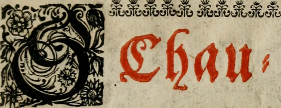 An illustration from Theatrum mortis humanæ tripartitum. I. Pars. Saltum mortis. II. Pars. Varia genera mortis. III. Pars. Pnas damnatorum continens. Figuris æneis illustratum, das ist, Schau-Bühne desz menschlichen Todts in drey Theil. 1. Theil. Der Toden Tantz. 2. Theil. Underschidliche Todts-Gattungen. 3. Theil. Der Verdambten Höllen-Peyn, vorstellend. Mit Schönen Kupffer-Stichen geziehrt vnd an Tag gegeben. Durch Joannem Weichardum Valvasor.., 1682, leaf 6