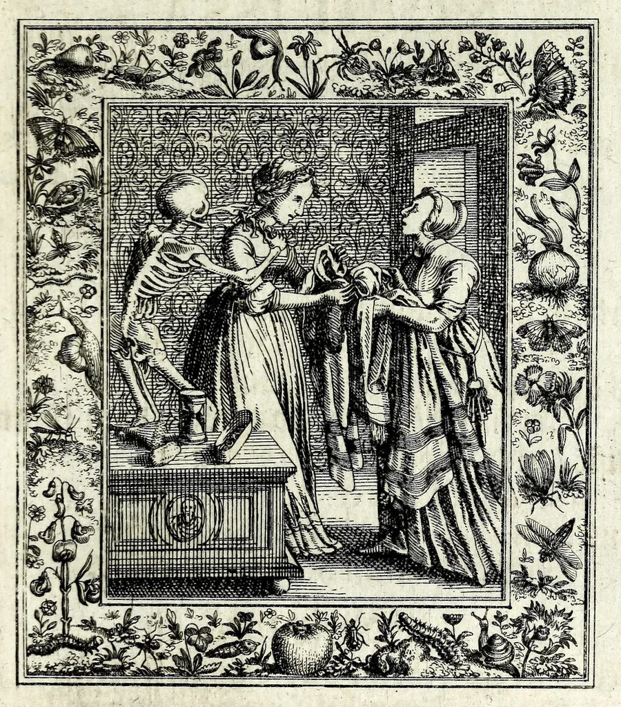 An illustration from Theatrum mortis humanae tripartitum ... : figuris aeneis illustratum = Das ist, Schau-Bühne dess menschlichen Todts in drey Theil ... : mit Schönen Kupffer-Stichen geziehrt vnd an Tag gegeben, 1682, leaf 113