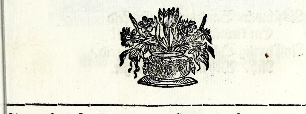 An illustration from Theatrum mortis humanae tripartitum ... : figuris aeneis illustratum = Das ist, Schau-Bühne dess menschlichen Todts in drey Theil ... : mit Schönen Kupffer-Stichen geziehrt vnd an Tag gegeben, 1682, leaf 209