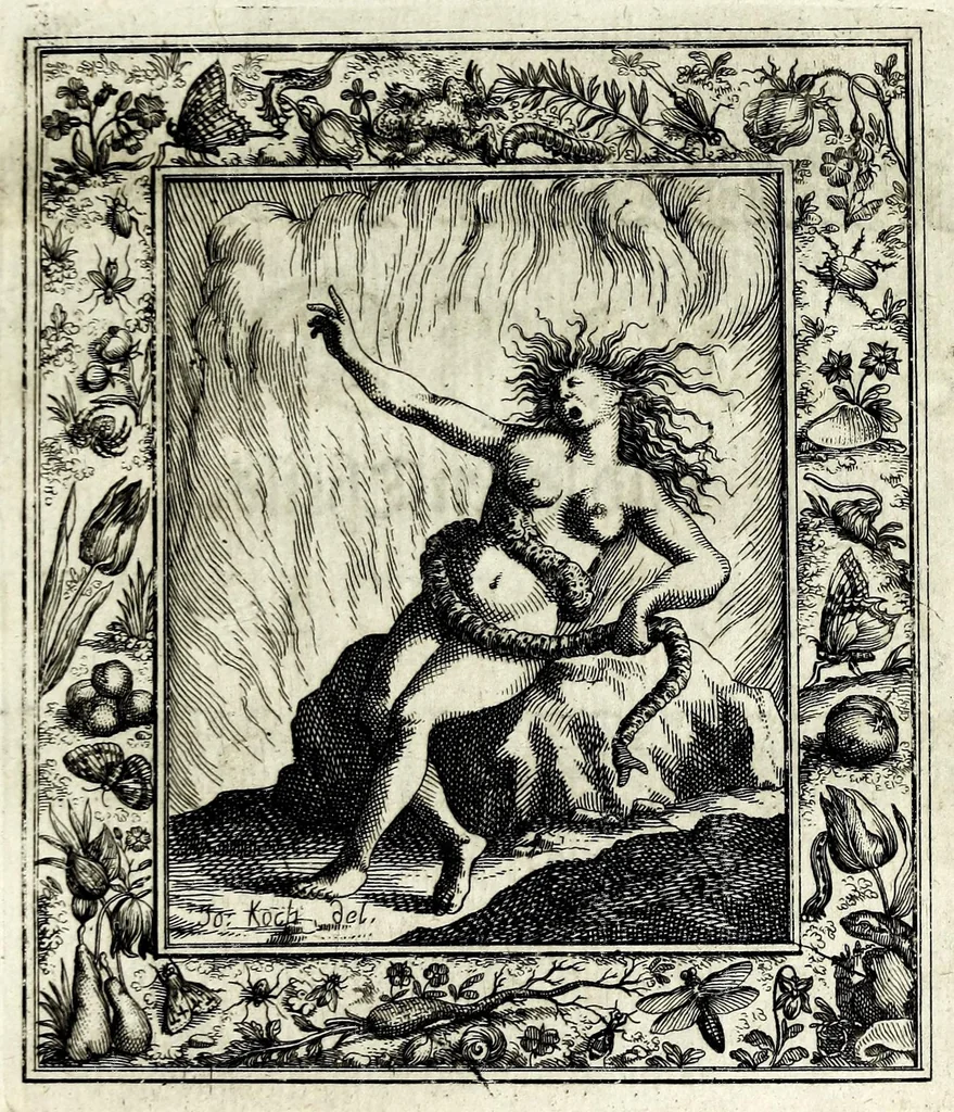 An illustration from Theatrum mortis humanae tripartitum ... : figuris aeneis illustratum = Das ist, Schau-Bühne dess menschlichen Todts in drey Theil ... : mit Schönen Kupffer-Stichen geziehrt vnd an Tag gegeben, 1682, leaf 271