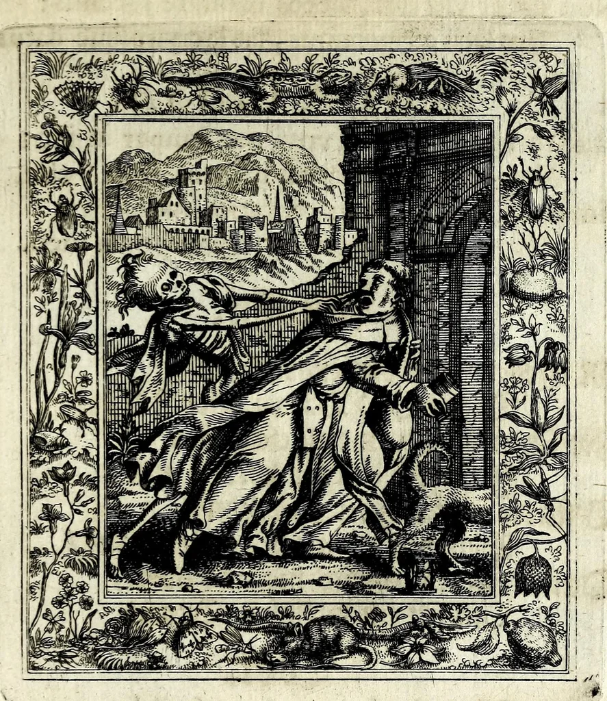 An illustration from Theatrum mortis humanae tripartitum ... : figuris aeneis illustratum = Das ist, Schau-Bühne dess menschlichen Todts in drey Theil ... : mit Schönen Kupffer-Stichen geziehrt vnd an Tag gegeben, 1682, leaf 51