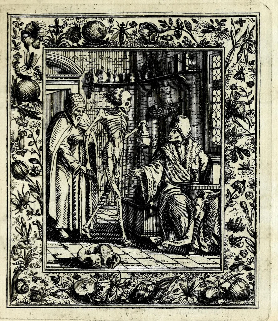 An illustration from Theatrum mortis humanae tripartitum ... : figuris aeneis illustratum = Das ist, Schau-Bühne dess menschlichen Todts in drey Theil ... : mit Schönen Kupffer-Stichen geziehrt vnd an Tag gegeben, 1682, leaf 79