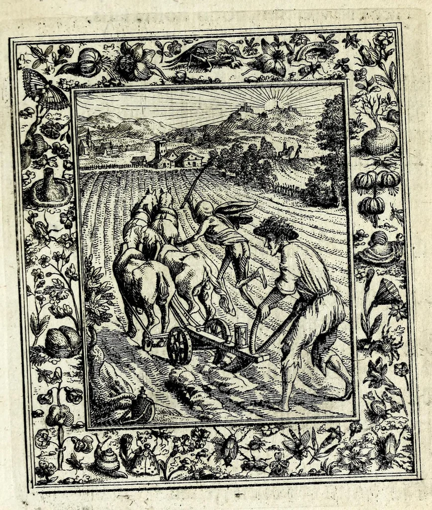 An illustration from Theatrum mortis humanae tripartitum ... : figuris aeneis illustratum = Das ist, Schau-Bühne dess menschlichen Todts in drey Theil ... : mit Schönen Kupffer-Stichen geziehrt vnd an Tag gegeben, 1682, leaf 93