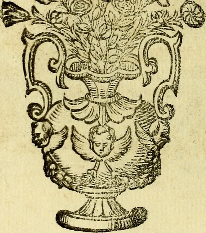 An illustration from Theatrum omium Scientiarum, sive Apparatus, quo exceptus fuit Excmus. Princeps D. Innicus de Guevara et Tassis Comes de Oñate, et Villamediana, etc., & etc., ac Neapolitani Regni prorex sapientissimus in Neapolitana Academia in Instauratione Studiorum anni 1649, etc, 1650, leaf 125