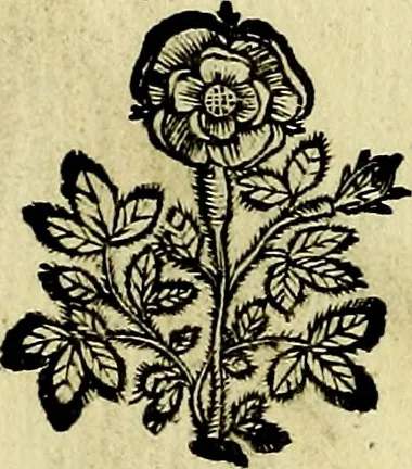 An illustration from Theatrum omium Scientiarum, sive Apparatus, quo exceptus fuit Excmus. Princeps D. Innicus de Guevara et Tassis Comes de Oñate, et Villamediana, etc., & etc., ac Neapolitani Regni prorex sapientissimus in Neapolitana Academia in Instauratione Studiorum anni 1649, etc, 1650, leaf 163