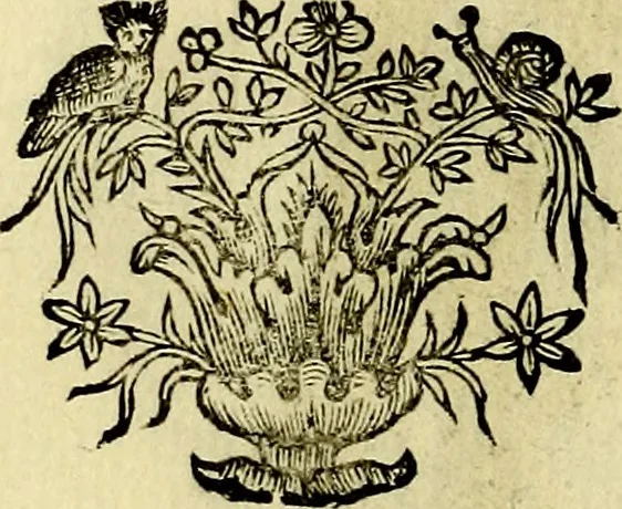 An illustration from Theatrum omium Scientiarum, sive Apparatus, quo exceptus fuit Excmus. Princeps D. Innicus de Guevara et Tassis Comes de Oñate, et Villamediana, etc., & etc., ac Neapolitani Regni prorex sapientissimus in Neapolitana Academia in Instauratione Studiorum anni 1649, etc, 1650, leaf 165