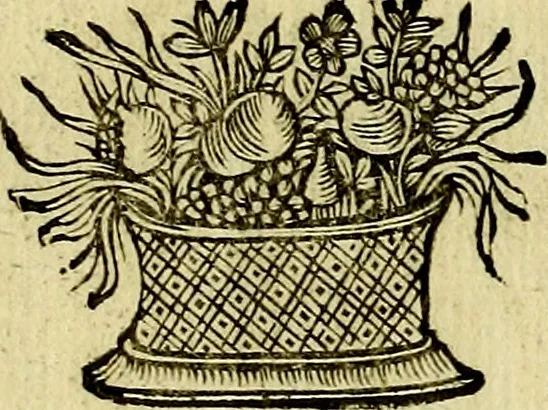 An illustration from Theatrum omium Scientiarum, sive Apparatus, quo exceptus fuit Excmus. Princeps D. Innicus de Guevara et Tassis Comes de Oñate, et Villamediana, etc., & etc., ac Neapolitani Regni prorex sapientissimus in Neapolitana Academia in Instauratione Studiorum anni 1649, etc, 1650, leaf 175