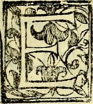 An illustration from Theatrum omium Scientiarum, sive Apparatus, quo exceptus fuit Excmus. Princeps D. Innicus de Guevara et Tassis Comes de Oñate, et Villamediana, etc., & etc., ac Neapolitani Regni prorex sapientissimus in Neapolitana Academia in Instauratione Studiorum anni 1649, etc, 1650, leaf 18