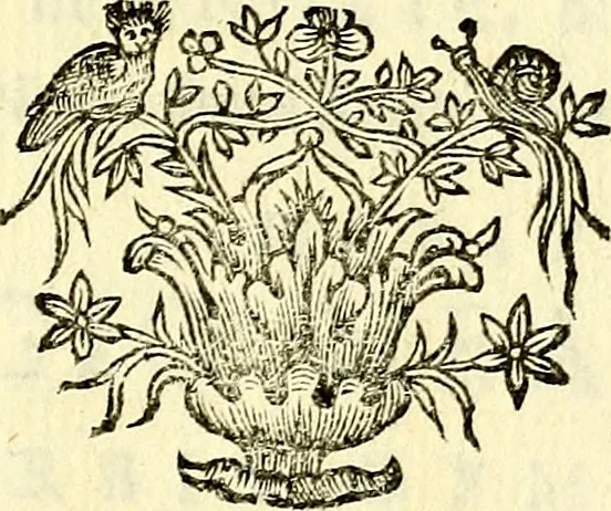 An illustration from Theatrum omium Scientiarum, sive Apparatus, quo exceptus fuit Excmus. Princeps D. Innicus de Guevara et Tassis Comes de Oñate, et Villamediana, etc., & etc., ac Neapolitani Regni prorex sapientissimus in Neapolitana Academia in Instauratione Studiorum anni 1649, etc, 1650, leaf 182