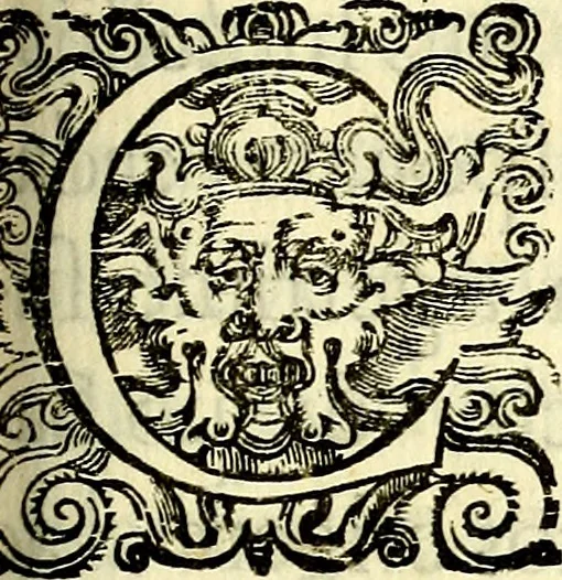 An illustration from Theatrum omium Scientiarum, sive Apparatus, quo exceptus fuit Excmus. Princeps D. Innicus de Guevara et Tassis Comes de Oñate, et Villamediana, etc., & etc., ac Neapolitani Regni prorex sapientissimus in Neapolitana Academia in Instauratione Studiorum anni 1649, etc, 1650, leaf 186