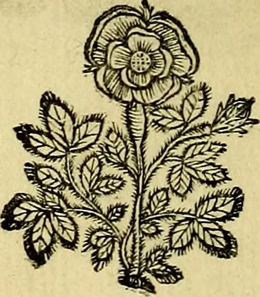 An illustration from Theatrum omium Scientiarum, sive Apparatus, quo exceptus fuit Excmus. Princeps D. Innicus de Guevara et Tassis Comes de Oñate, et Villamediana, etc., & etc., ac Neapolitani Regni prorex sapientissimus in Neapolitana Academia in Instauratione Studiorum anni 1649, etc, 1650, leaf 27