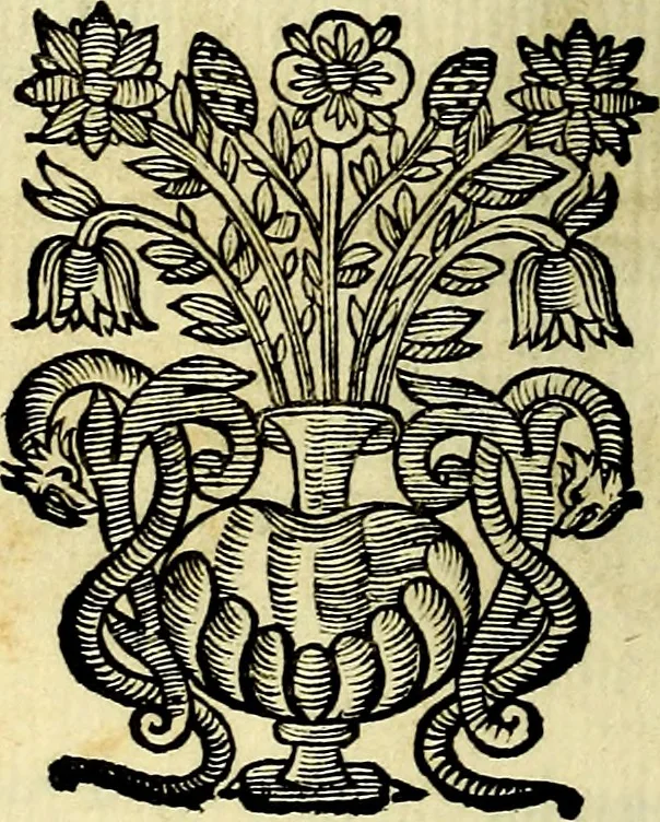 An illustration from Theatrum omium Scientiarum, sive Apparatus, quo exceptus fuit Excmus. Princeps D. Innicus de Guevara et Tassis Comes de Oñate, et Villamediana, etc., & etc., ac Neapolitani Regni prorex sapientissimus in Neapolitana Academia in Instauratione Studiorum anni 1649, etc, 1650, leaf 35