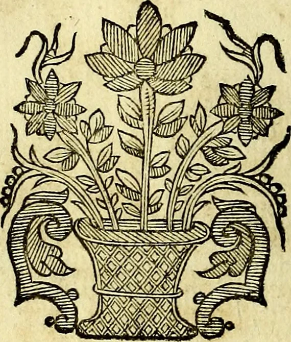An illustration from Theatrum omium Scientiarum, sive Apparatus, quo exceptus fuit Excmus. Princeps D. Innicus de Guevara et Tassis Comes de Oñate, et Villamediana, etc., & etc., ac Neapolitani Regni prorex sapientissimus in Neapolitana Academia in Instauratione Studiorum anni 1649, etc, 1650, leaf 59