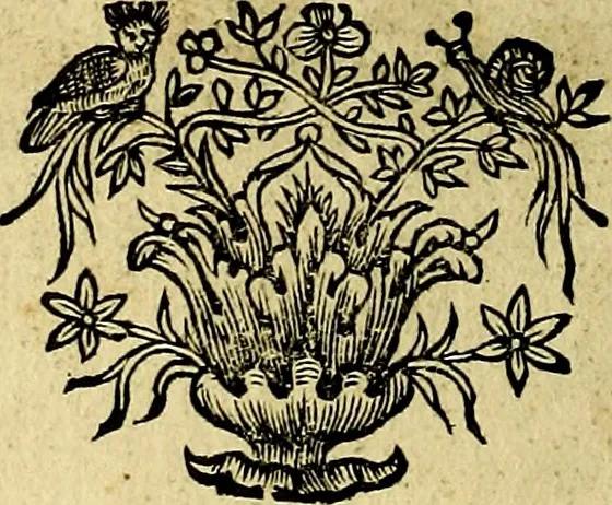 An illustration from Theatrum omium Scientiarum, sive Apparatus, quo exceptus fuit Excmus. Princeps D. Innicus de Guevara et Tassis Comes de Oñate, et Villamediana, etc., & etc., ac Neapolitani Regni prorex sapientissimus in Neapolitana Academia in Instauratione Studiorum anni 1649, etc, 1650, leaf 63