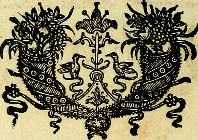 An illustration from Theatrum omium Scientiarum, sive Apparatus, quo exceptus fuit Excmus. Princeps D. Innicus de Guevara et Tassis Comes de Oñate, et Villamediana, etc., & etc., ac Neapolitani Regni prorex sapientissimus in Neapolitana Academia in Instauratione Studiorum anni 1649, etc, 1650, leaf 67