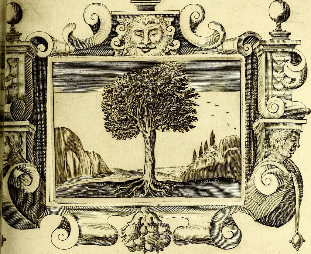 An illustration from Theatrum omium Scientiarum, sive Apparatus, quo exceptus fuit Excmus. Princeps D. Innicus de Guevara et Tassis Comes de Oñate, et Villamediana, etc., & etc., ac Neapolitani Regni prorex sapientissimus in Neapolitana Academia in Instauratione Studiorum anni 1649, etc, 1650, leaf 80