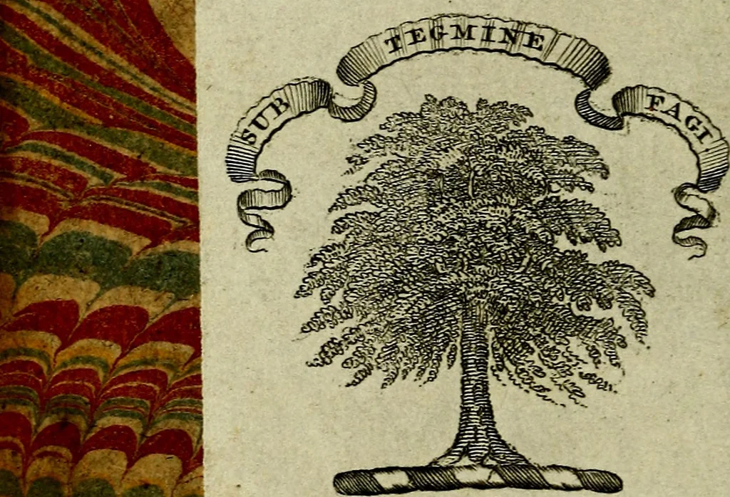 An illustration from Theatrum stultorum joco-serium, sive, Mundus fatuus emblematicè expressus, 1669, leaf 1