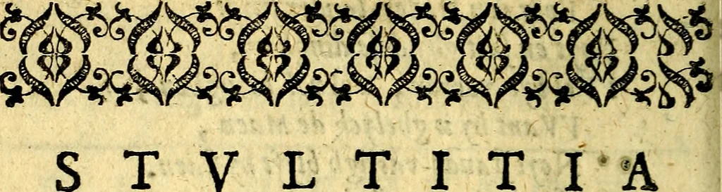 An illustration from Theatrum stultorum joco-serium, sive, Mundus fatuus emblematicè expressus, 1669, leaf 135