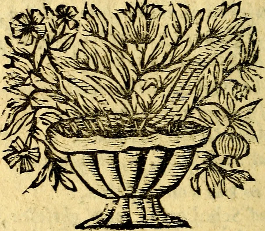 An illustration from Theatrum stultorum joco-serium, sive, Mundus fatuus emblematicè expressus, 1669, leaf 155