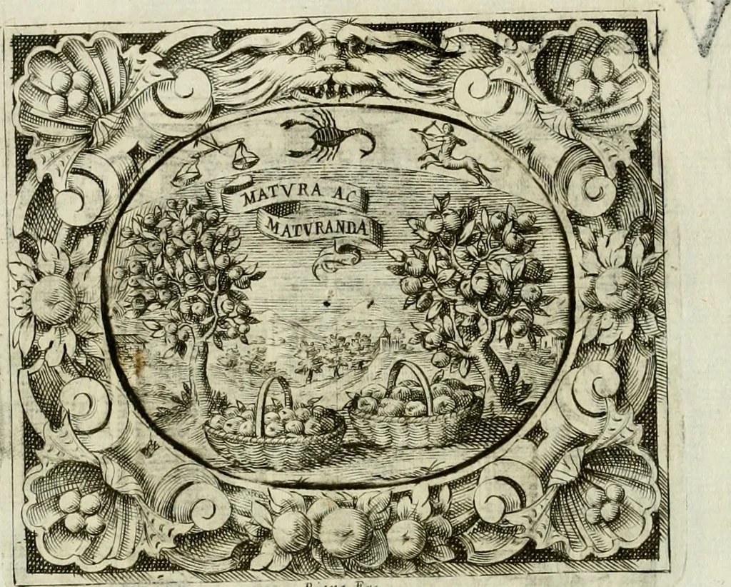 An illustration from Theatrum temporaneum aeternitati Caesaris Montii S.R.E. cardinalis et archiep. Mediolanen. sacrum, 1636, leaf 105