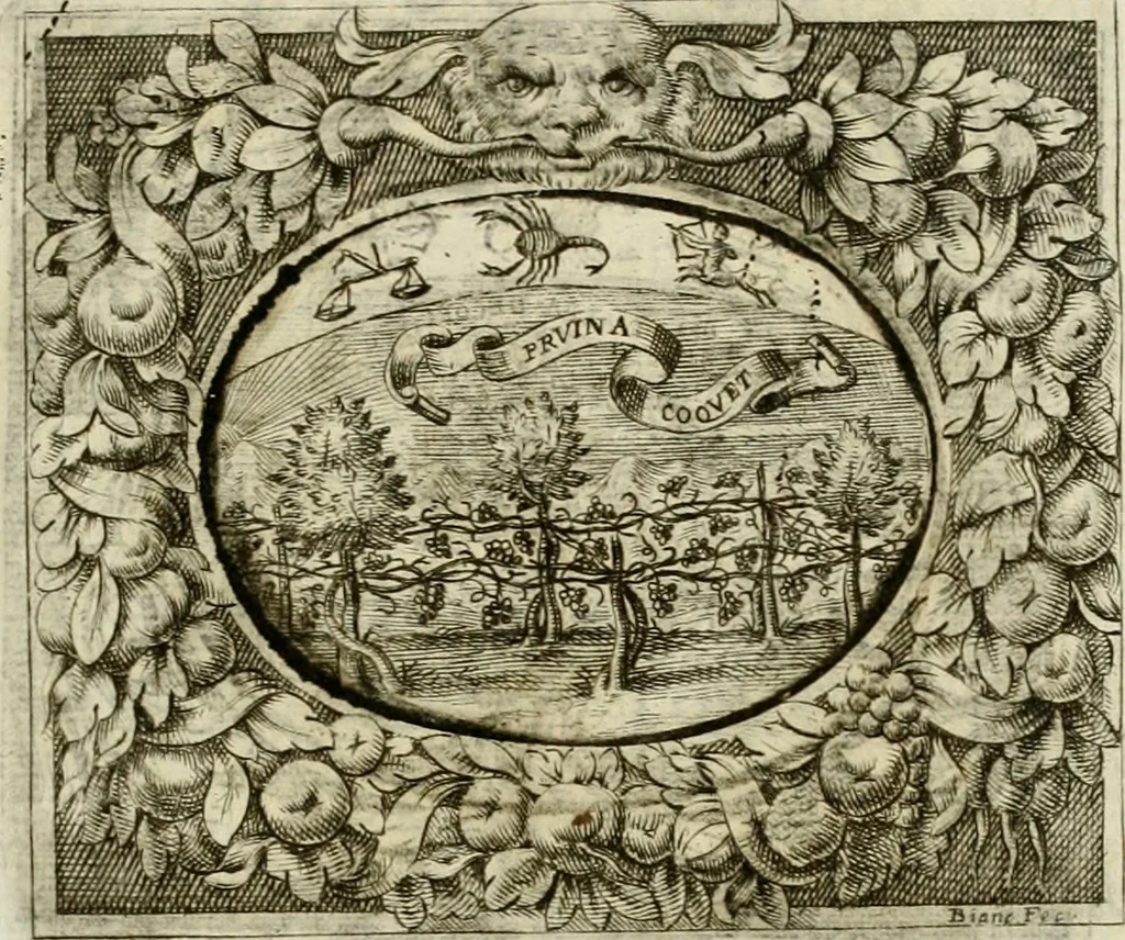 An illustration from Theatrum temporaneum aeternitati Caesaris Montii S.R.E. cardinalis et archiep. Mediolanen. sacrum, 1636, leaf 106